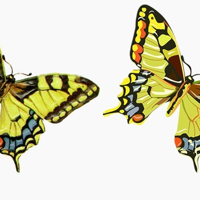 Clipping Path