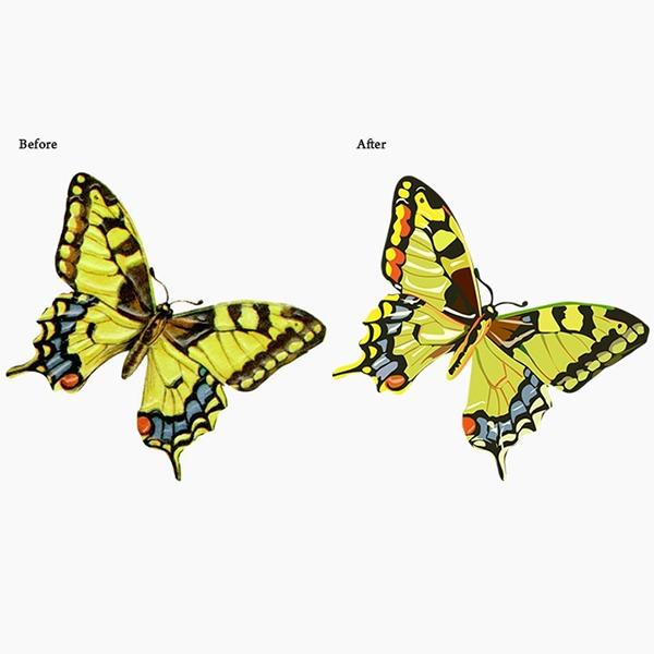 Raster to Vector