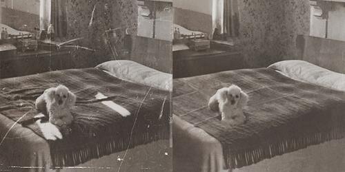 Photo Restoration